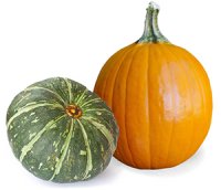 Pumpkin and Winter Squash Image