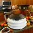 The Dehydro Electric Food Dehydrator on a kitchen counter.