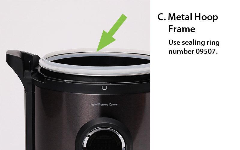 Metal Hoop Frame