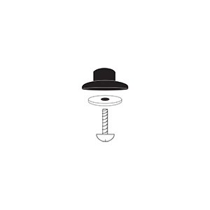 81603 Screw and Washer Assembly