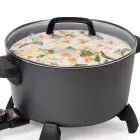 A close-up of the glass cover on the multi-cooker.